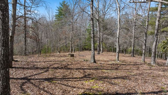 1262 Maple Grove Road, Morganton, GA 30560
