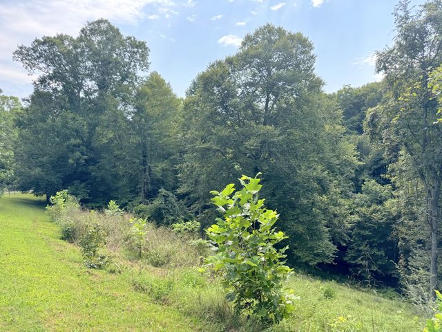 1202 Pickle Knight Rd, Joelton, TN 37080