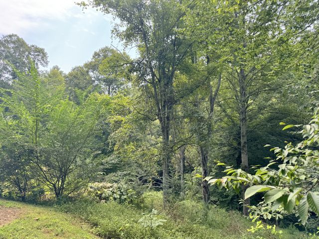 1202 Pickle Knight Rd, Joelton, TN 37080