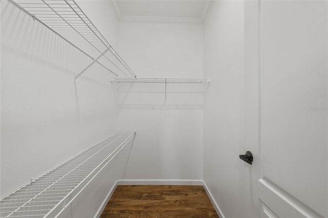 8019 N MEADOWVIEW CIR, Tampa, FL 33625