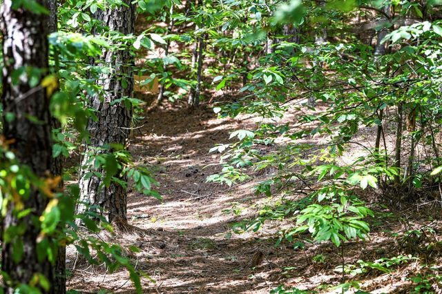 271 Postelle Road, Copperhill, TN 37391