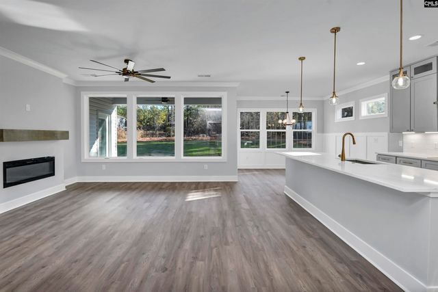 225 LIVING WATERS Boulevard, Lexington, SC 29073