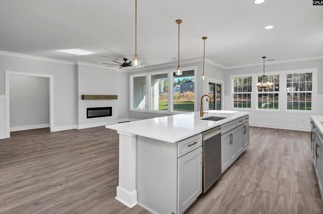 225 LIVING WATERS Boulevard, Lexington, SC 29073