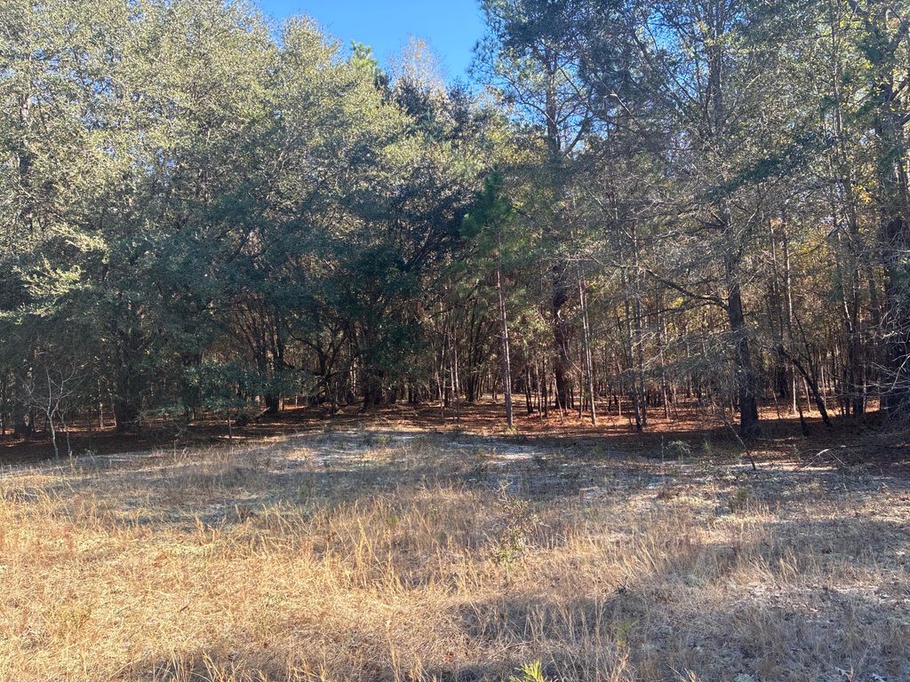 Image 10 of property listing at 00 Tyler Road, Orangeburg, SC 29115