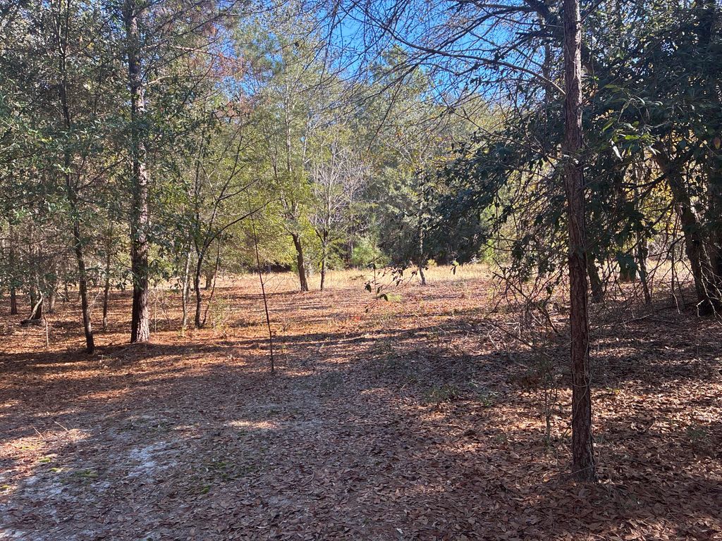 Image 11 of property listing at 00 Tyler Road, Orangeburg, SC 29115