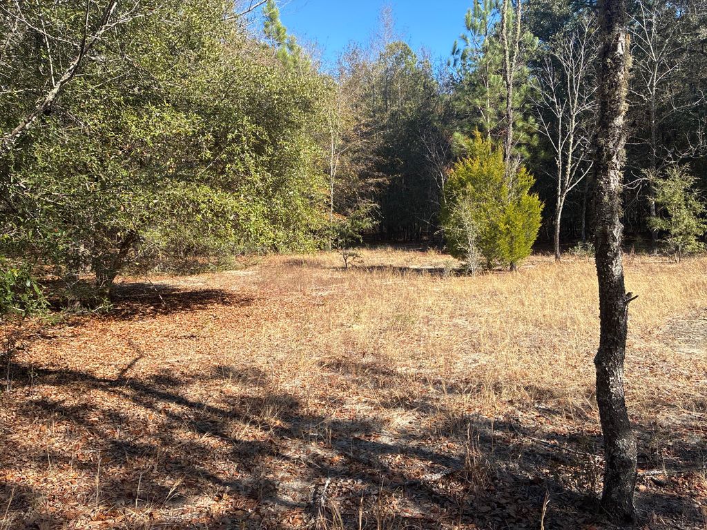 Image 12 of property listing at 00 Tyler Road, Orangeburg, SC 29115
