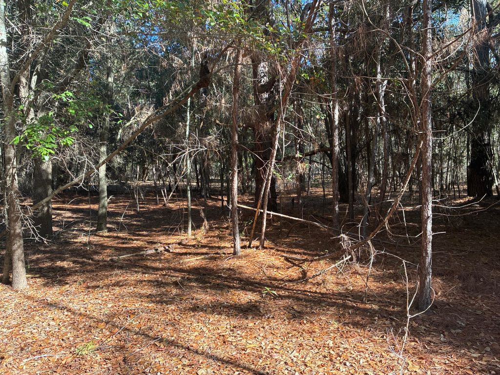 Image 13 of property listing at 00 Tyler Road, Orangeburg, SC 29115