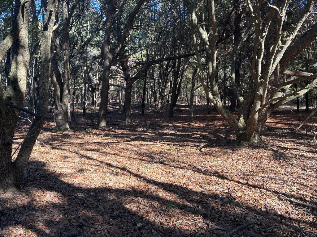 Image 14 of property listing at 00 Tyler Road, Orangeburg, SC 29115