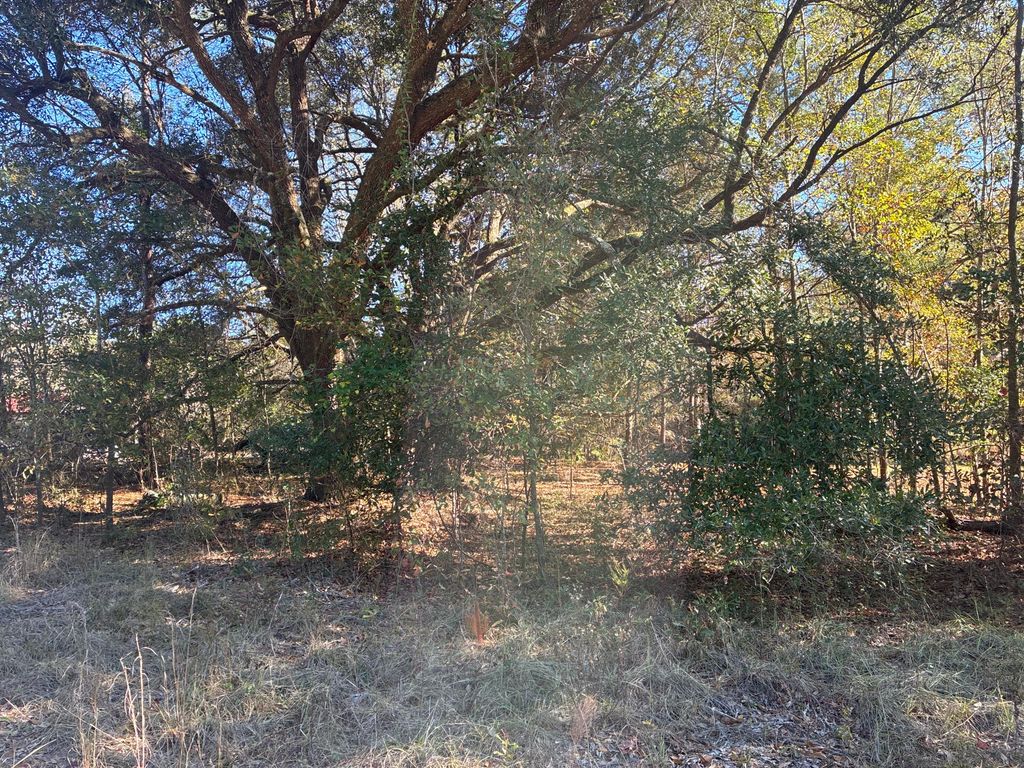 Image 15 of property listing at 00 Tyler Road, Orangeburg, SC 29115
