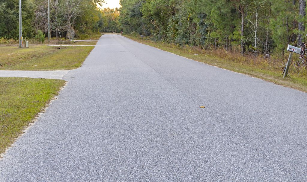 Image 2 of property listing at 00 Tyler Road, Orangeburg, SC 29115