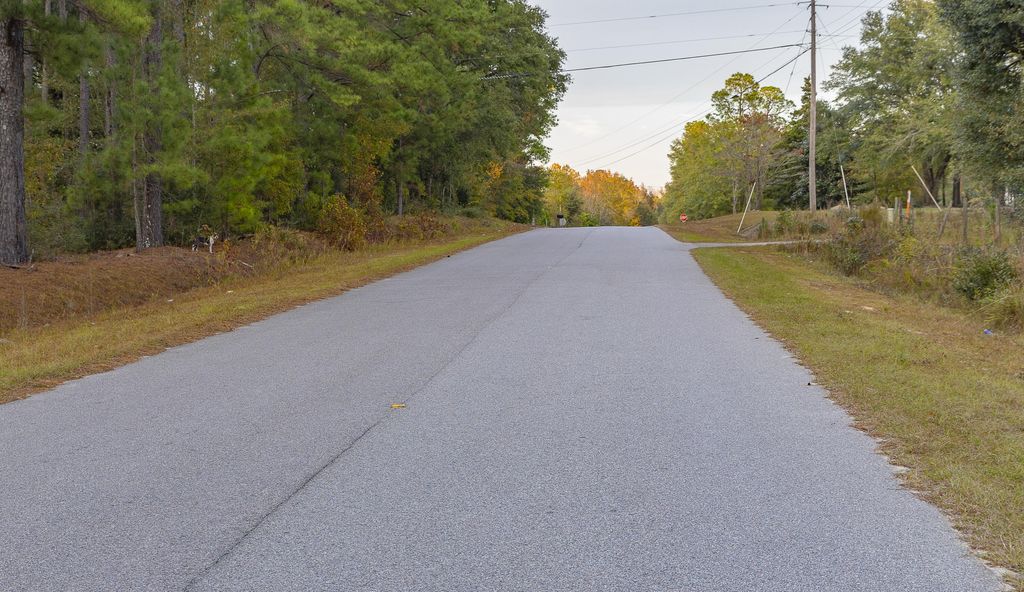 Image 3 of property listing at 00 Tyler Road, Orangeburg, SC 29115