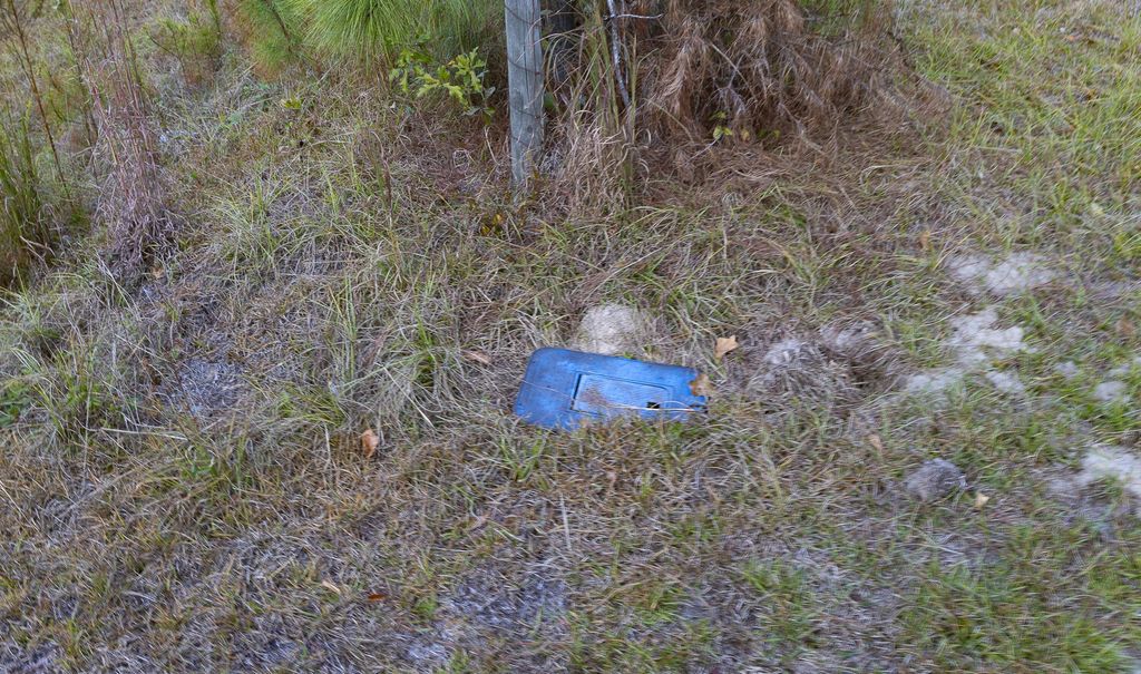 Image 6 of property listing at 00 Tyler Road, Orangeburg, SC 29115