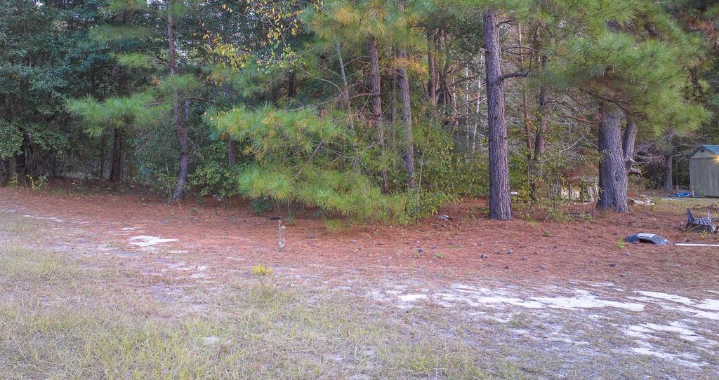 Image 7 of property listing at 00 Tyler Road, Orangeburg, SC 29115