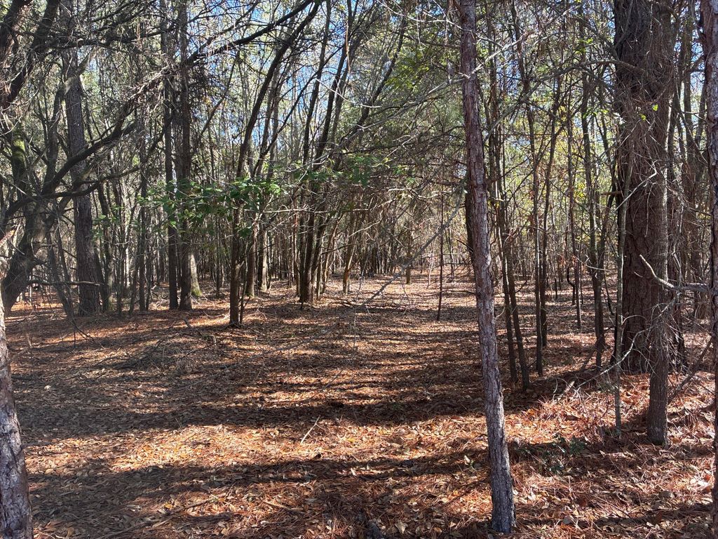 Image 8 of property listing at 00 Tyler Road, Orangeburg, SC 29115