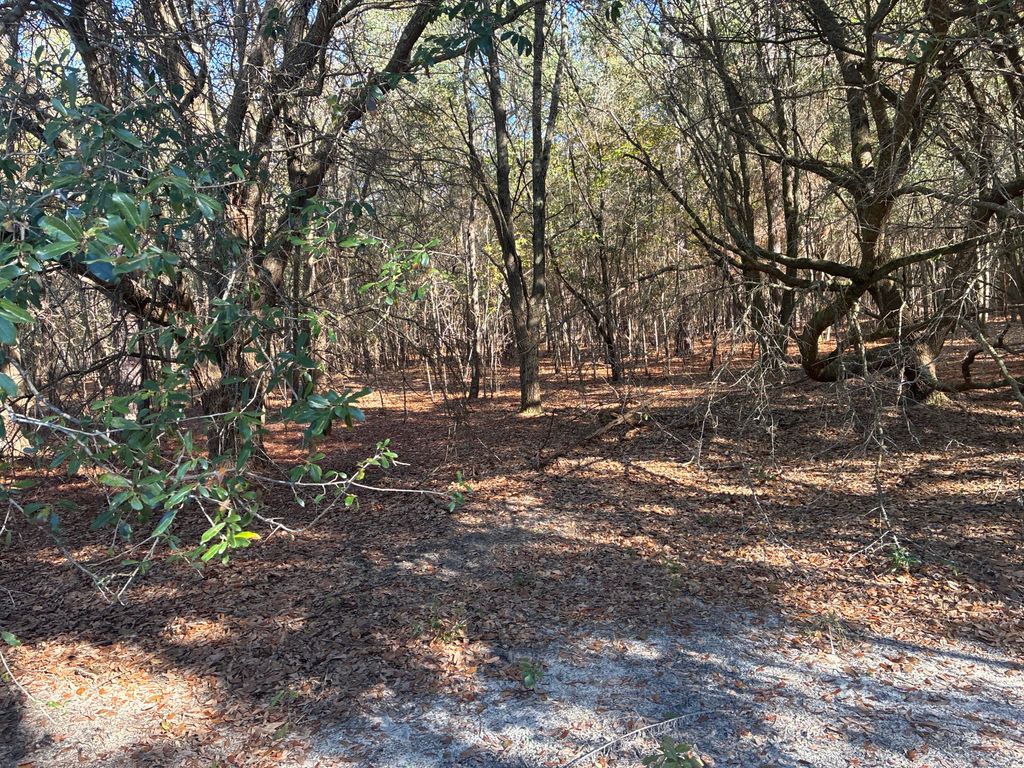 Image 9 of property listing at 00 Tyler Road, Orangeburg, SC 29115