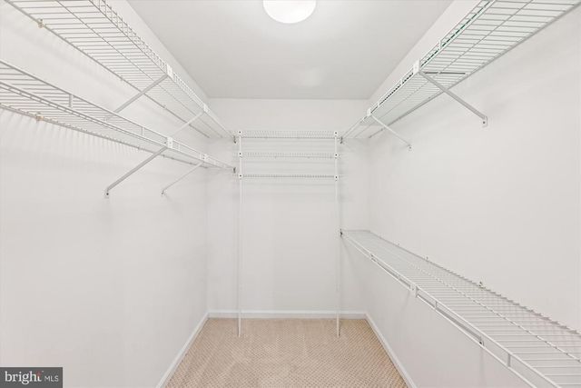 3643 FOXHALL PL, White Plains, MD 20695