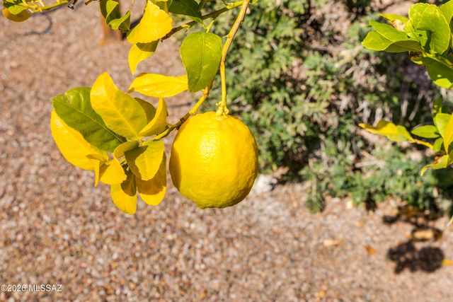 2630 E Genevieve Way, Green Valley, AZ 85614