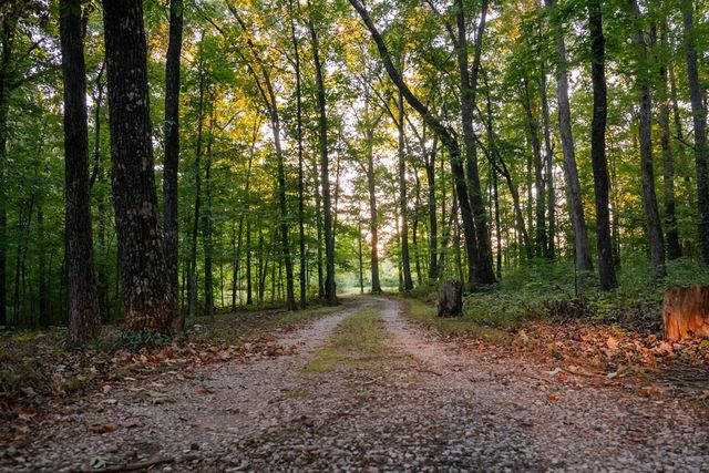 693 Tower Hill Rd, Livingston, TN 38570