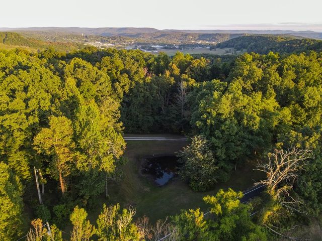 693 Tower Hill Rd, Livingston, TN 38570