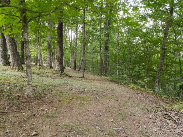 693 Tower Hill Rd, Livingston, TN 38570