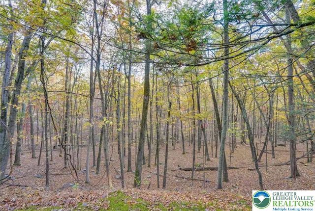 134 Rim Road, Middle Smithfield Twp, PA 18302