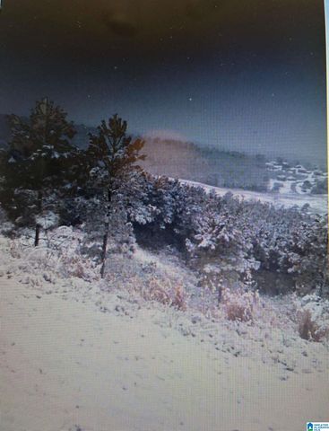 7385 OLD ACTON ROAD, Moody, AL 35004