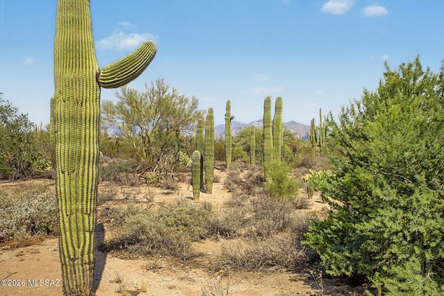 10702 N Iron Peak Drive, Oro Valley, AZ 85742