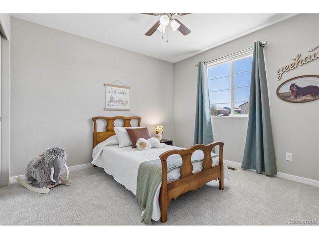 10887 Pastel Pt, Parker, CO 80134