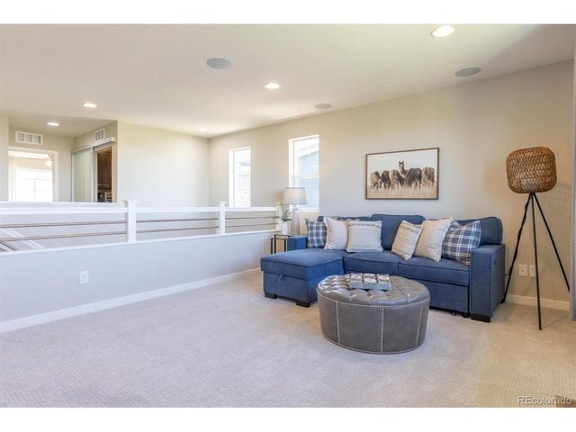 10887 Pastel Pt, Parker, CO 80134