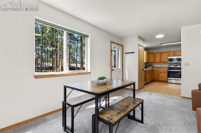 316 N Walnut Street, Woodland Park, CO 80863