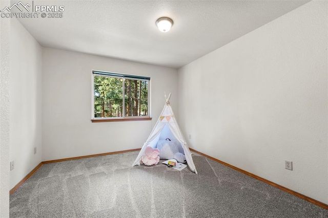 316 N Walnut Street, Woodland Park, CO 80863