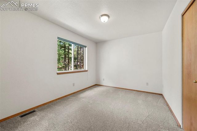 316 N Walnut Street, Woodland Park, CO 80863