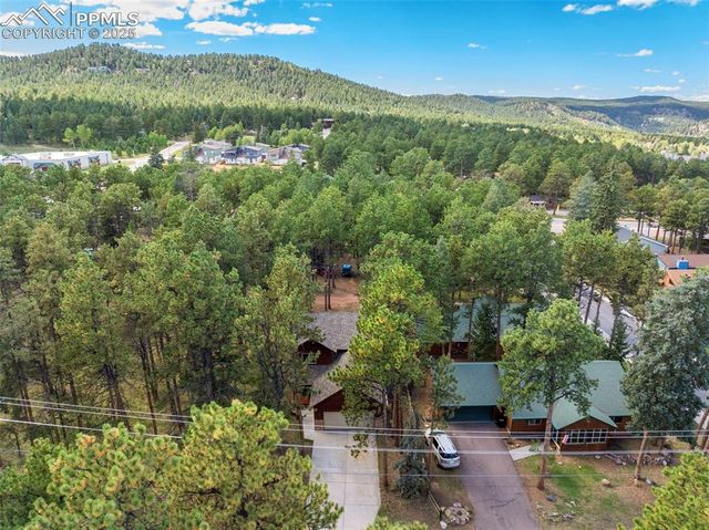 316 N Walnut Street, Woodland Park, CO 80863