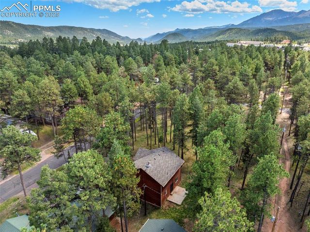 316 N Walnut Street, Woodland Park, CO 80863
