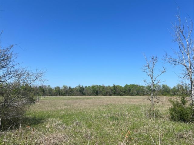0031 Fm 2562 And Cr 218 Road, Anderson, TX 77830