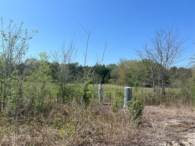 0031 Fm 2562 And Cr 218 Road, Anderson, TX 77830