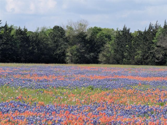 0031 Fm 2562 And Cr 218 Road, Anderson, TX 77830