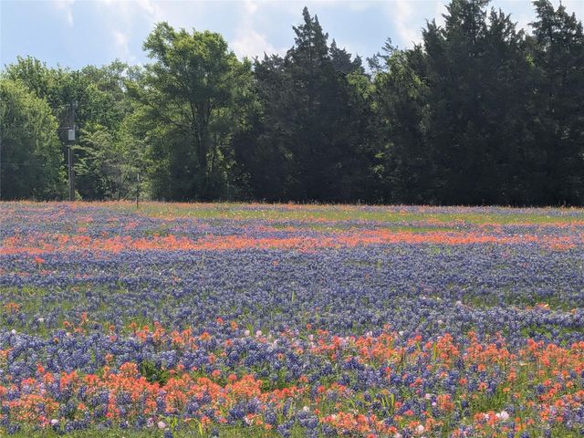 0031 Fm 2562 And Cr 218 Road, Anderson, TX 77830