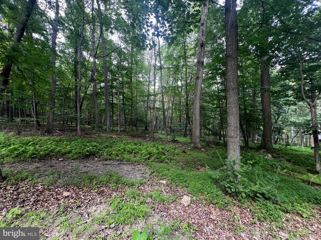336 HOWARD DELAWDER LN, Mathias, WV 26812