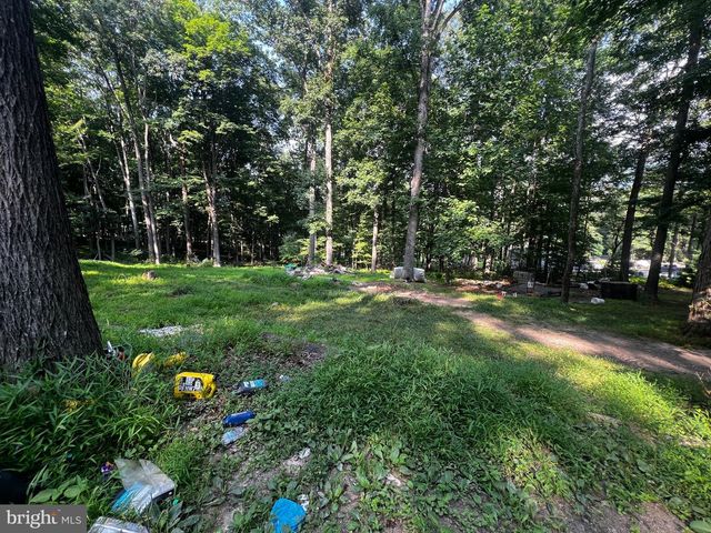 336 HOWARD DELAWDER LN, Mathias, WV 26812