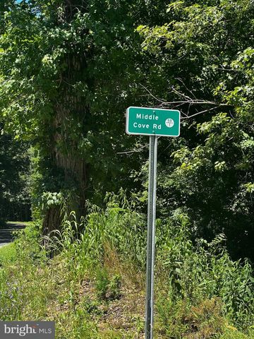 336 HOWARD DELAWDER LN, Mathias, WV 26812