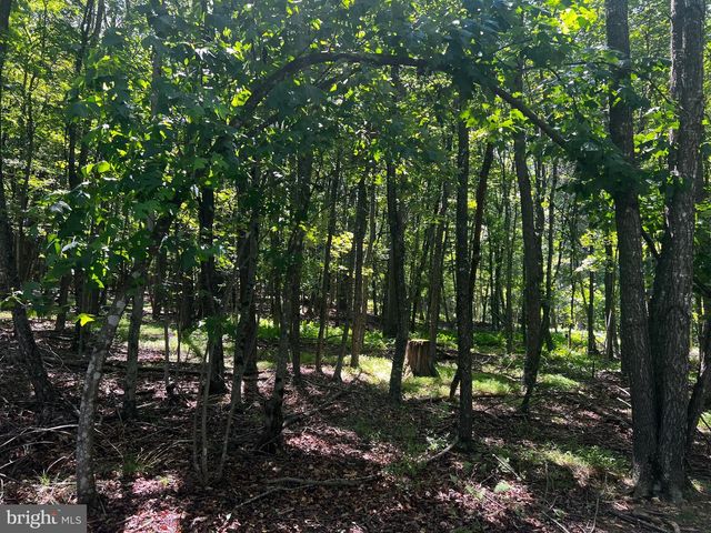 336 HOWARD DELAWDER LN, Mathias, WV 26812