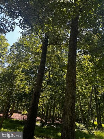 336 HOWARD DELAWDER LN, Mathias, WV 26812