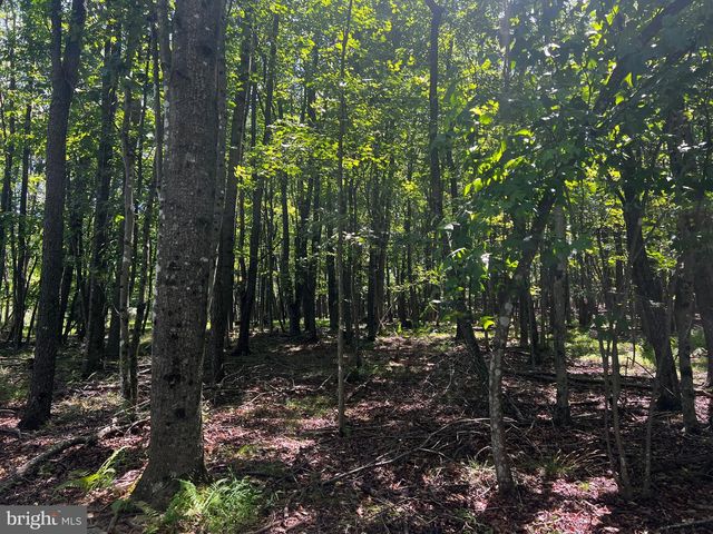336 HOWARD DELAWDER LN, Mathias, WV 26812