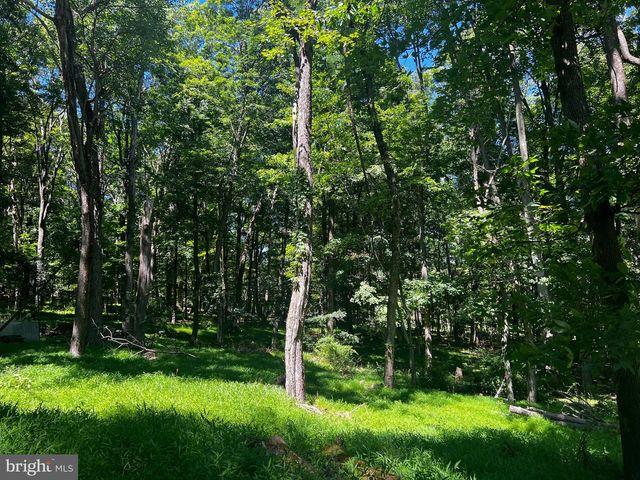 336 HOWARD DELAWDER LN, Mathias, WV 26812
