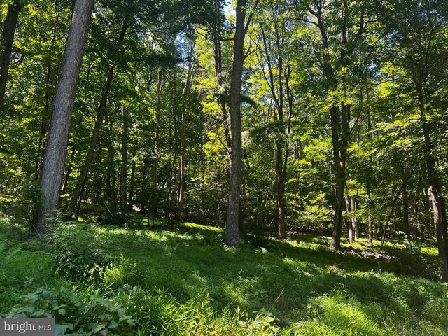 336 HOWARD DELAWDER LN, Mathias, WV 26812