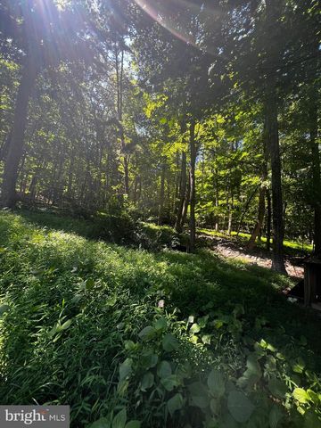 336 HOWARD DELAWDER LN, Mathias, WV 26812