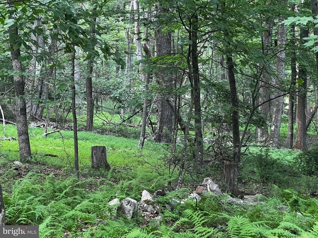 336 HOWARD DELAWDER LN, Mathias, WV 26812