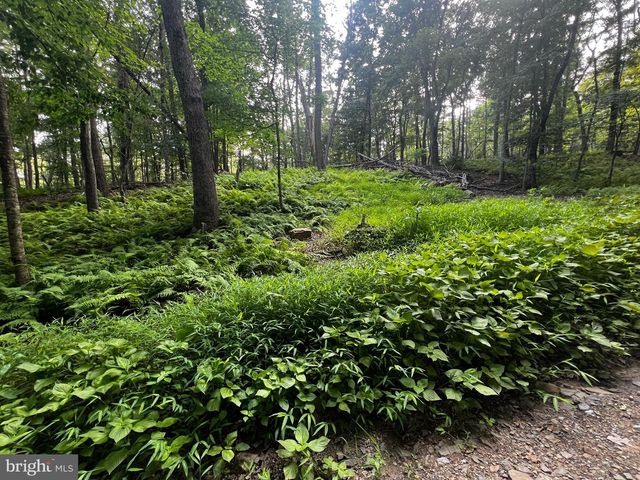 336 HOWARD DELAWDER LN, Mathias, WV 26812