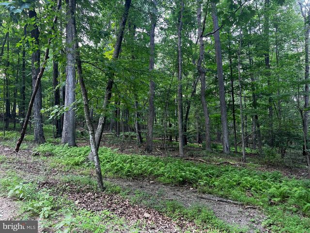 336 HOWARD DELAWDER LN, Mathias, WV 26812